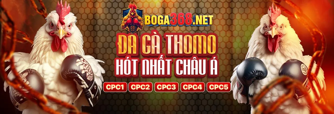 Đá Gà Trực Tuyến Bet66 Code